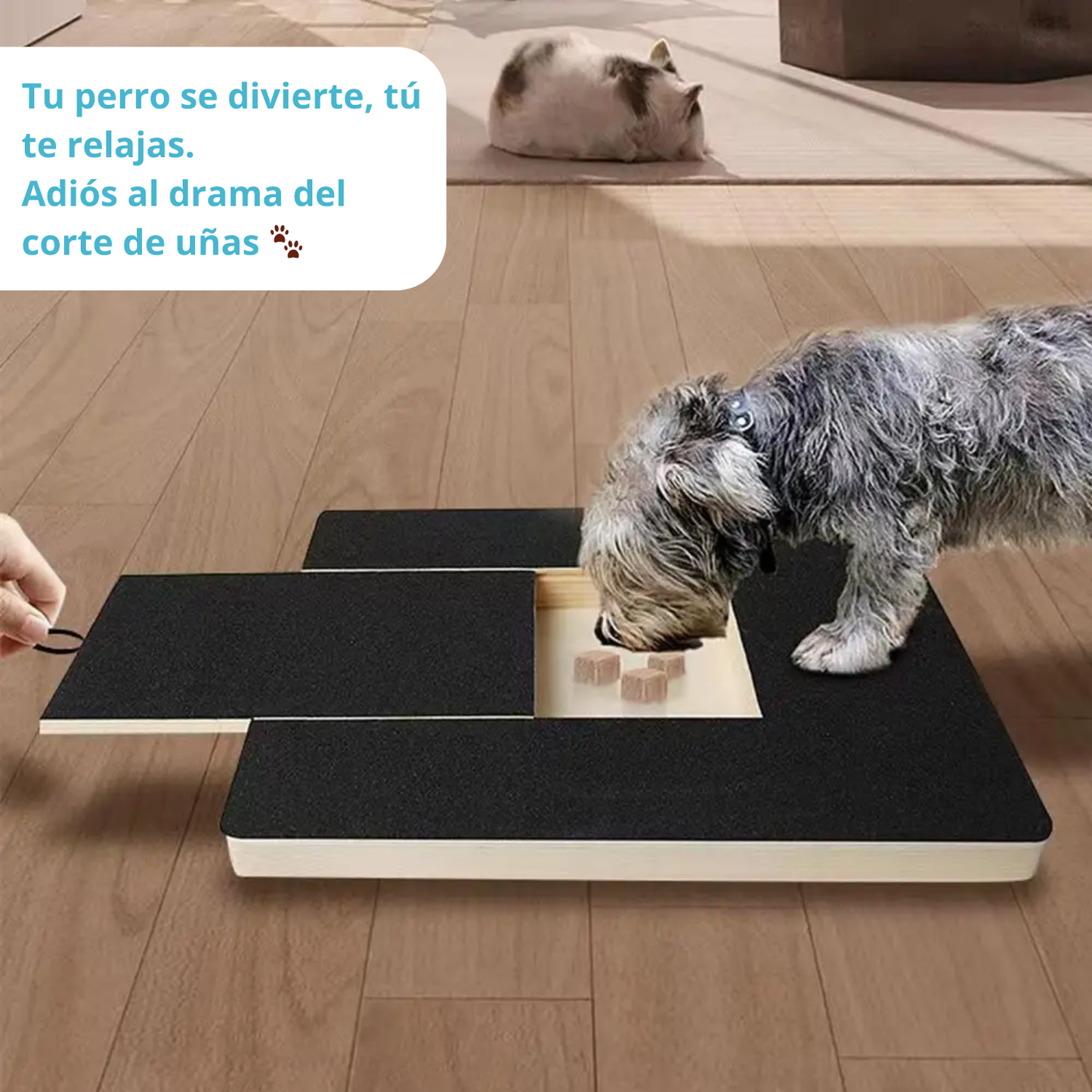 PawGroomer™