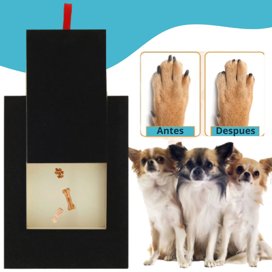 PawGroomer™
