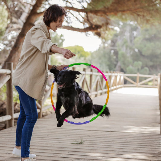 🐶 Cómo entrenar a tu perro para usar PawGroomer sin esfuerzo